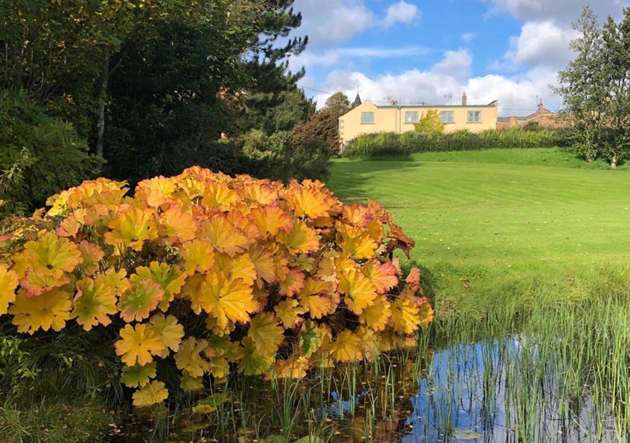 Stable Yard Apartment Greenlaw
