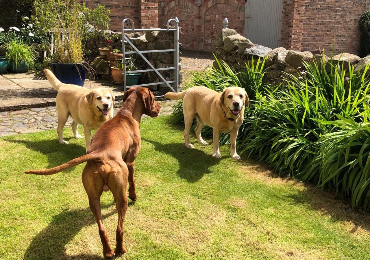 Stable Yard Greenlaw